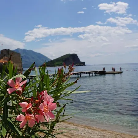 Stanivukovic * Budva